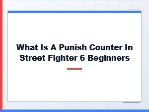 Beginner Guide to Punish Counter Combos
